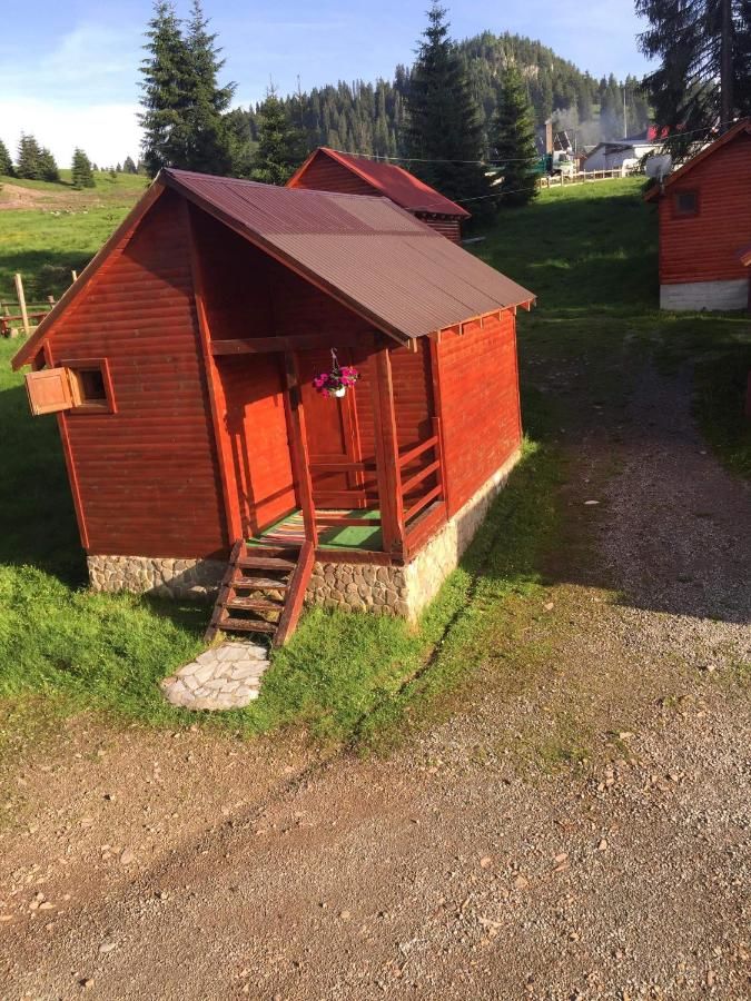 Гостевой дом Popas Turistic Padis Падис-13