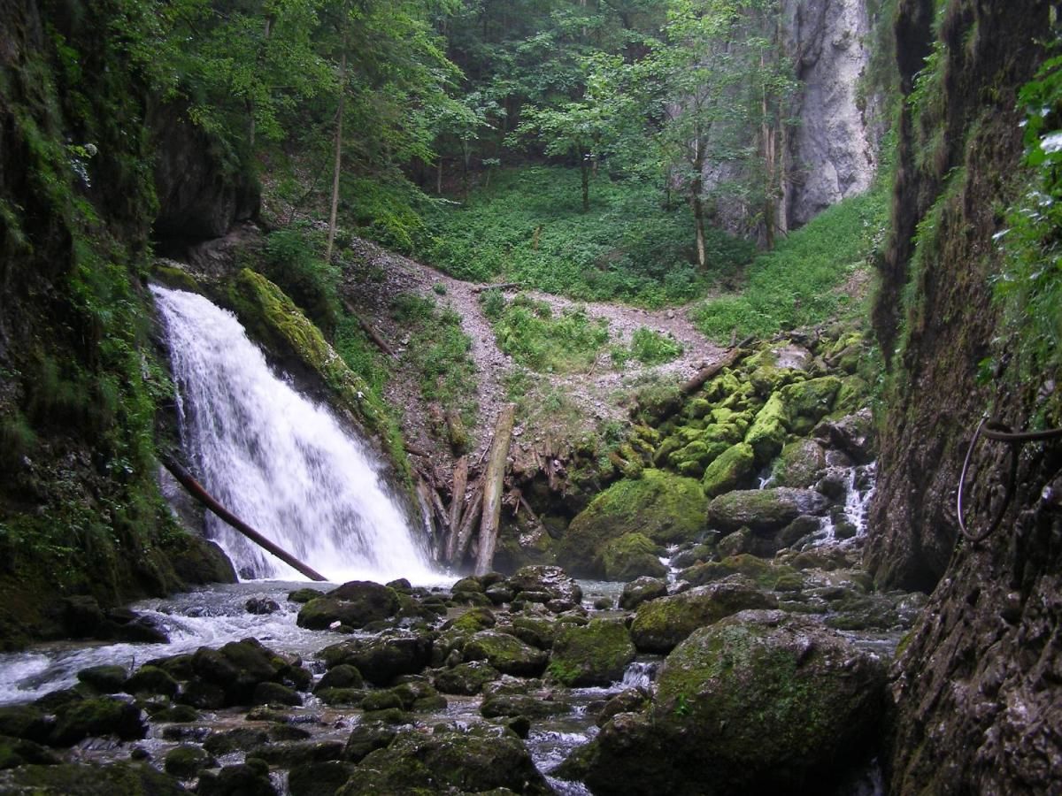 Гостевой дом Popas Turistic Padis Падис-19