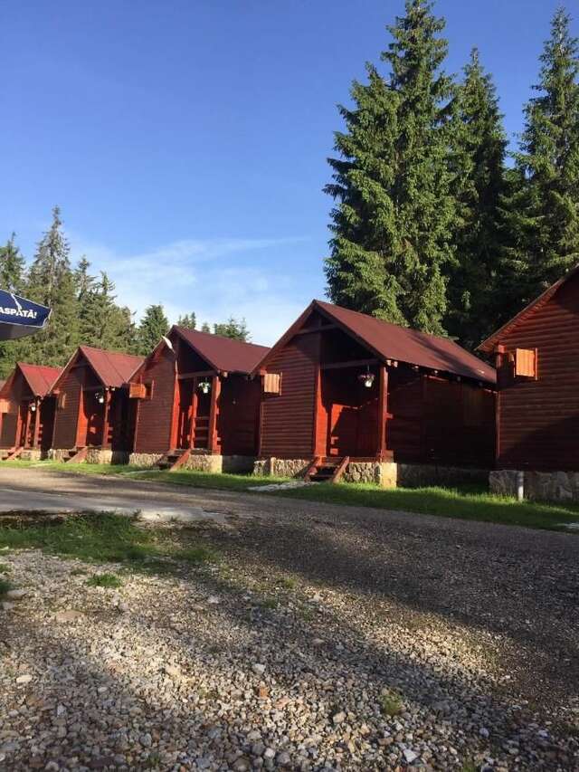 Гостевой дом Popas Turistic Padis Падис-9